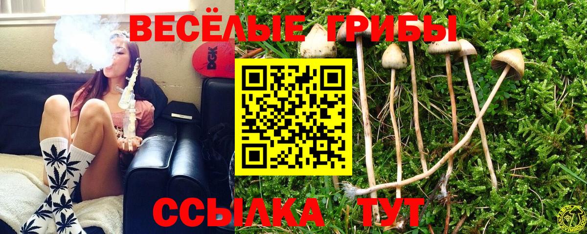 Серов  Псилоцибиновые грибы мухоморы  Вход с VPN 